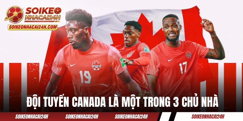 Đội Tuyển Canada - Cơn Lốc Đỏ Bắc Mỹ Cùng Thế Hệ Vàng Đội tuyển Canada là một trong 3 chủ nhà của World Cup 2026